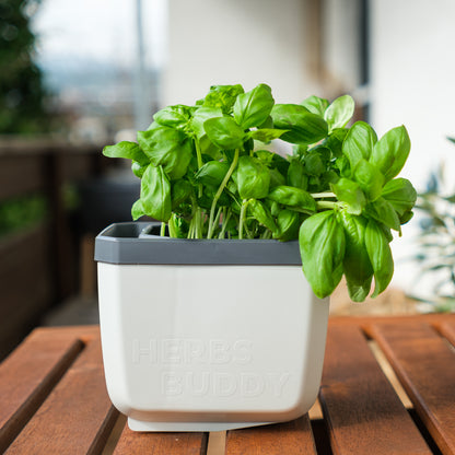  HERBS BUDDY Kräutertopf Weiß