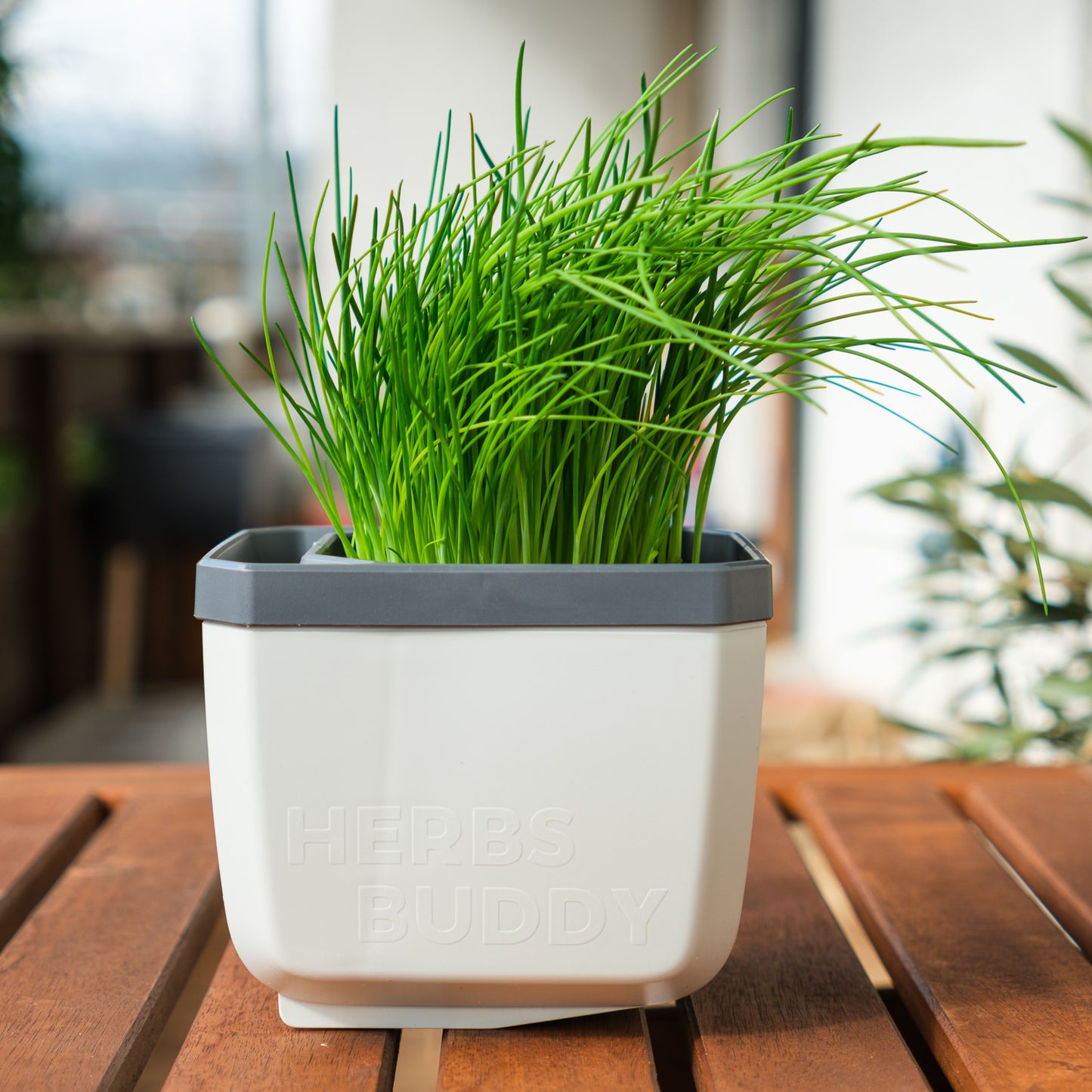  HERBS BUDDY Kräutertopf Weiß