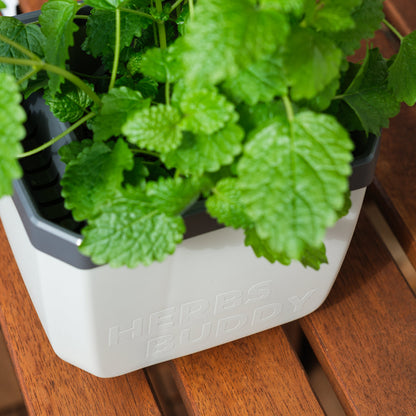  HERBS BUDDY Kräutertopf Weiß