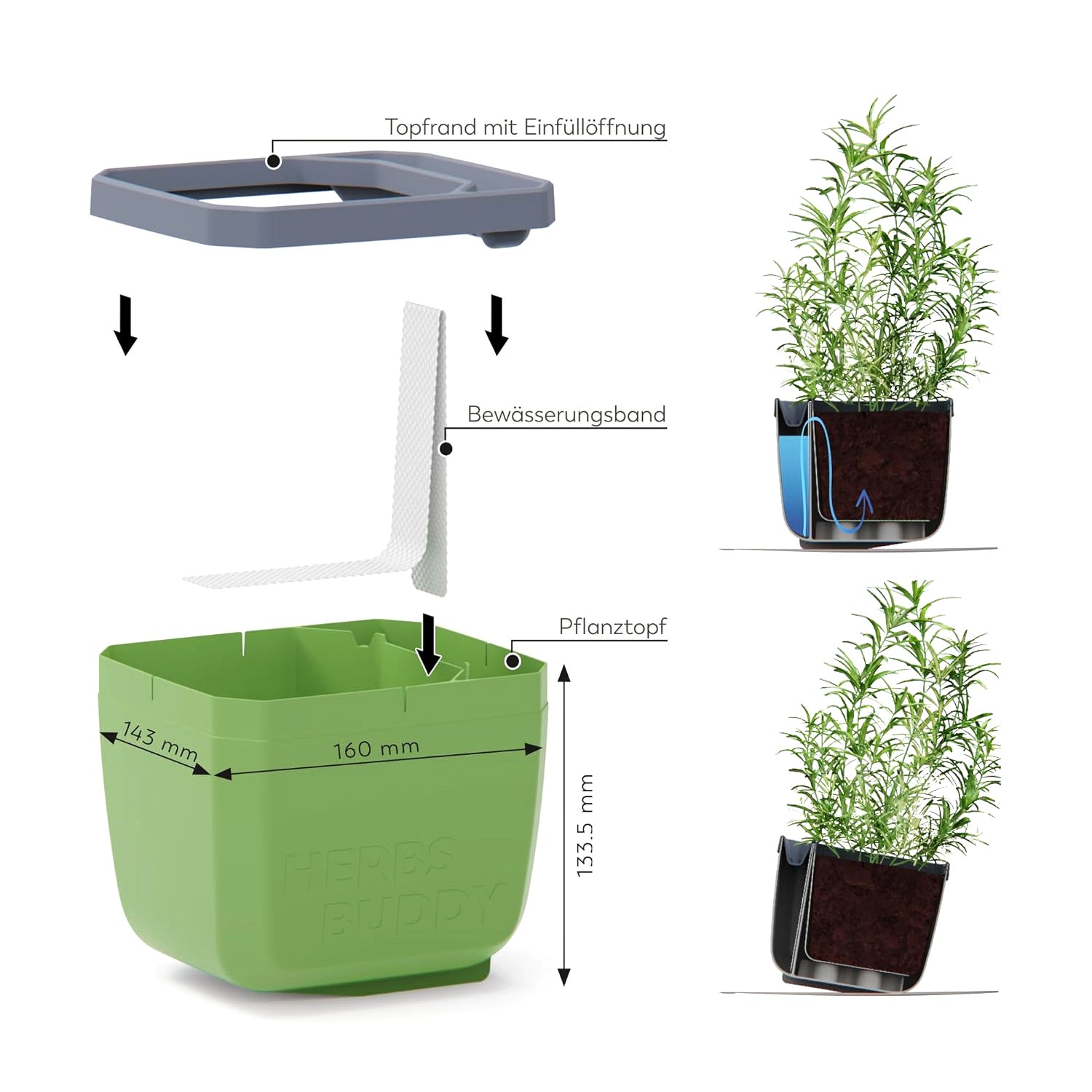  HERBS BUDDY Kräutertopf Weiß