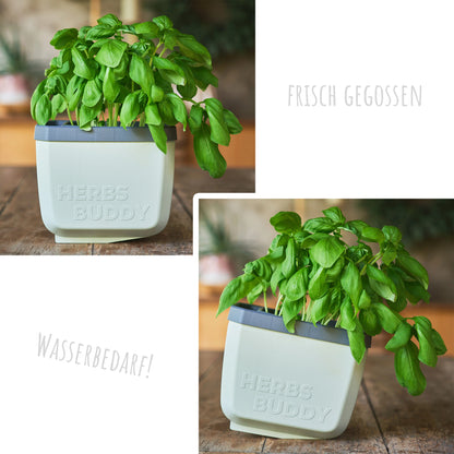  HERBS BUDDY Kräutertopf Weiß