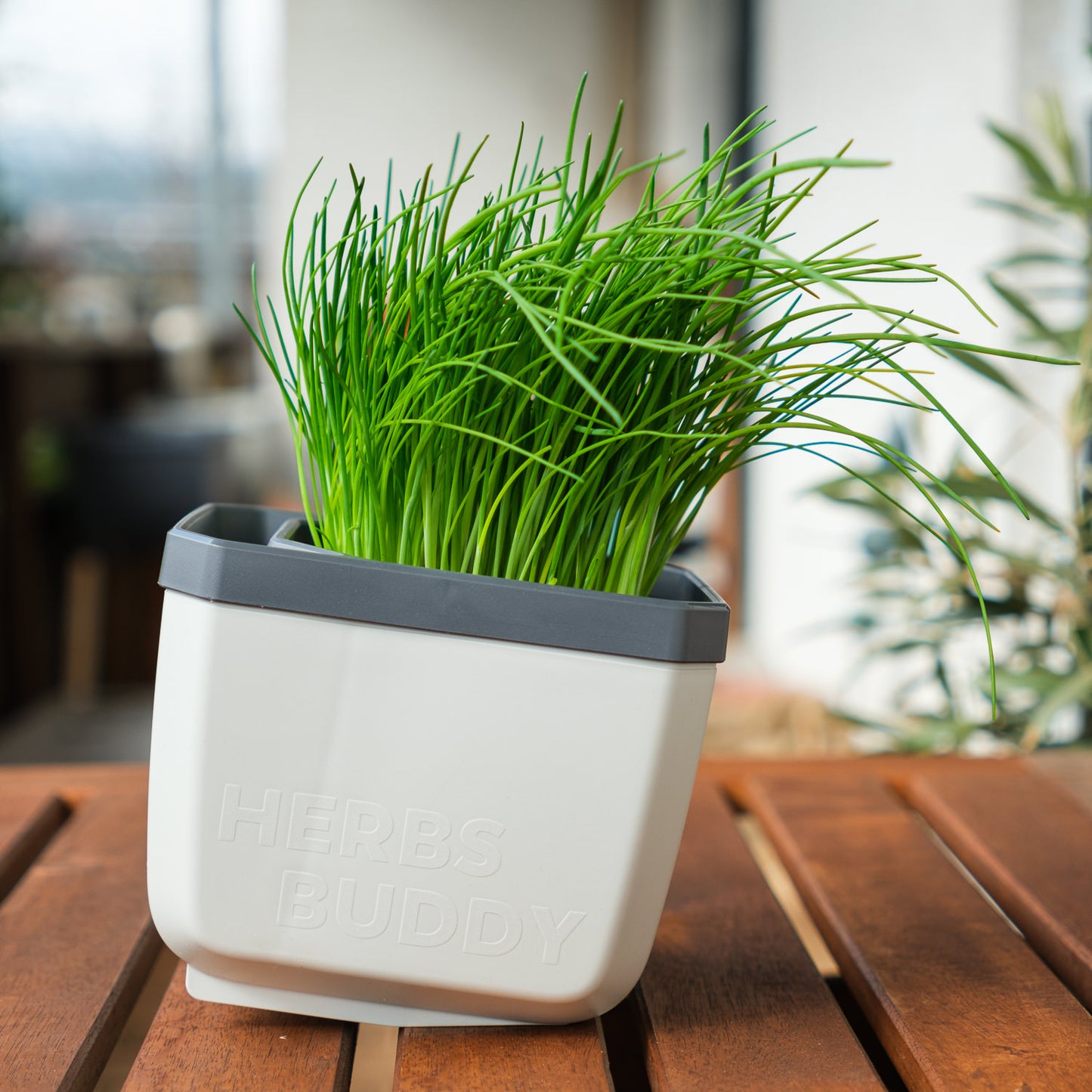  HERBS BUDDY Kräutertopf Weiß