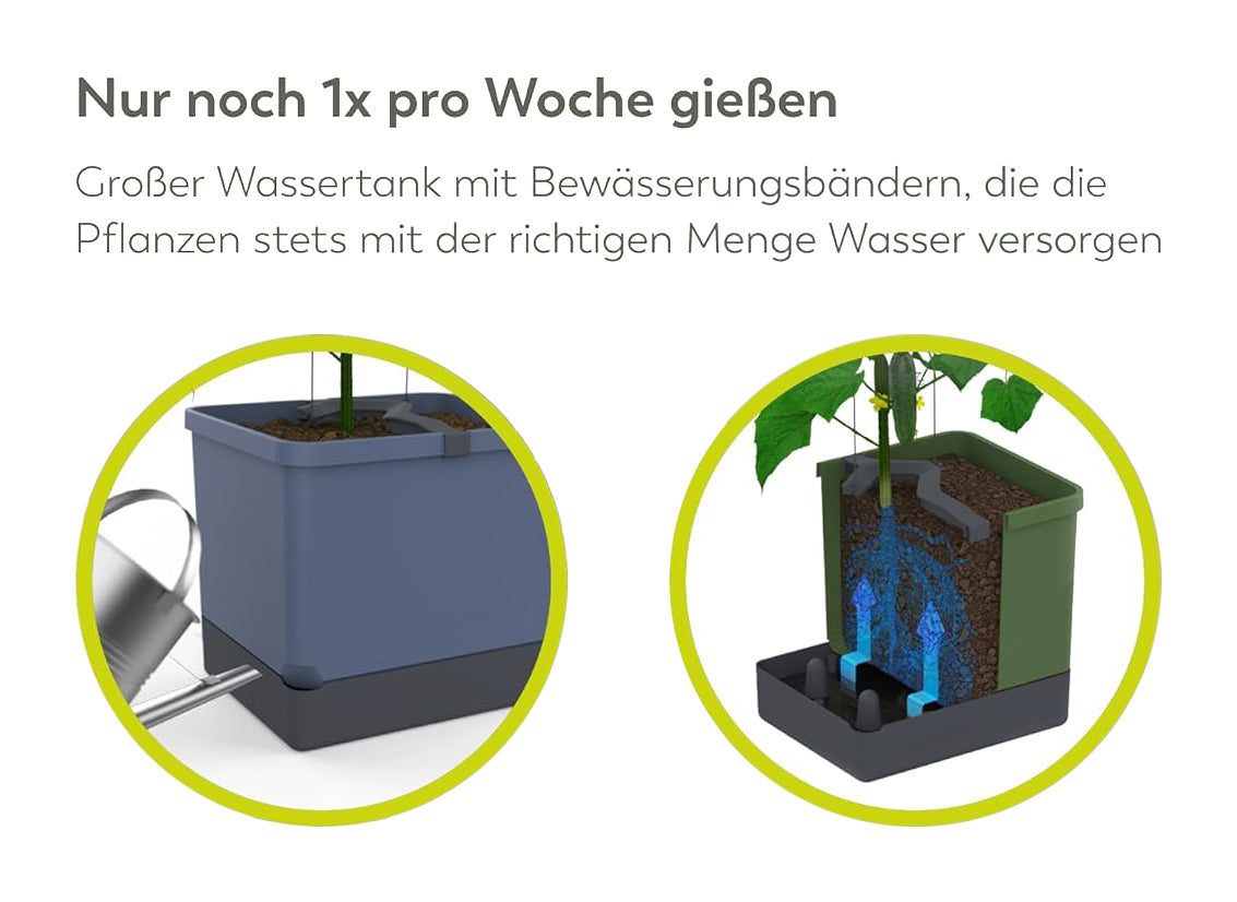  CURT CUCUMBER Gurkentopf Blau
