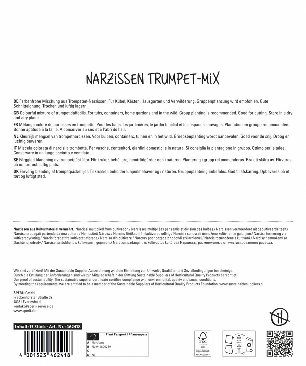  Maxi Trompeten-Narzissen Mischung (15 Stück)