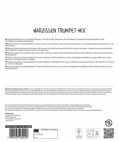  Maxi Trompeten-Narzissen Mischung (15 Stück)