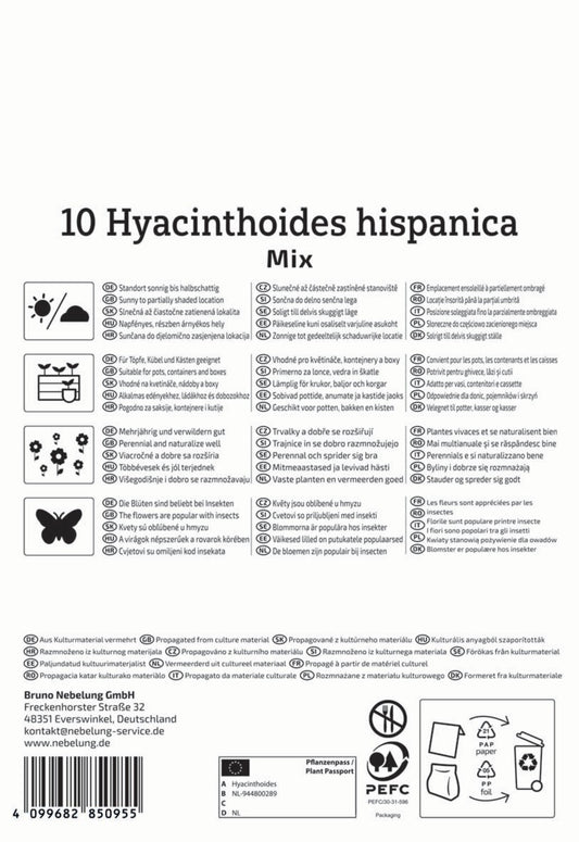  Hasenglöckchen Mischung (10 Stück)