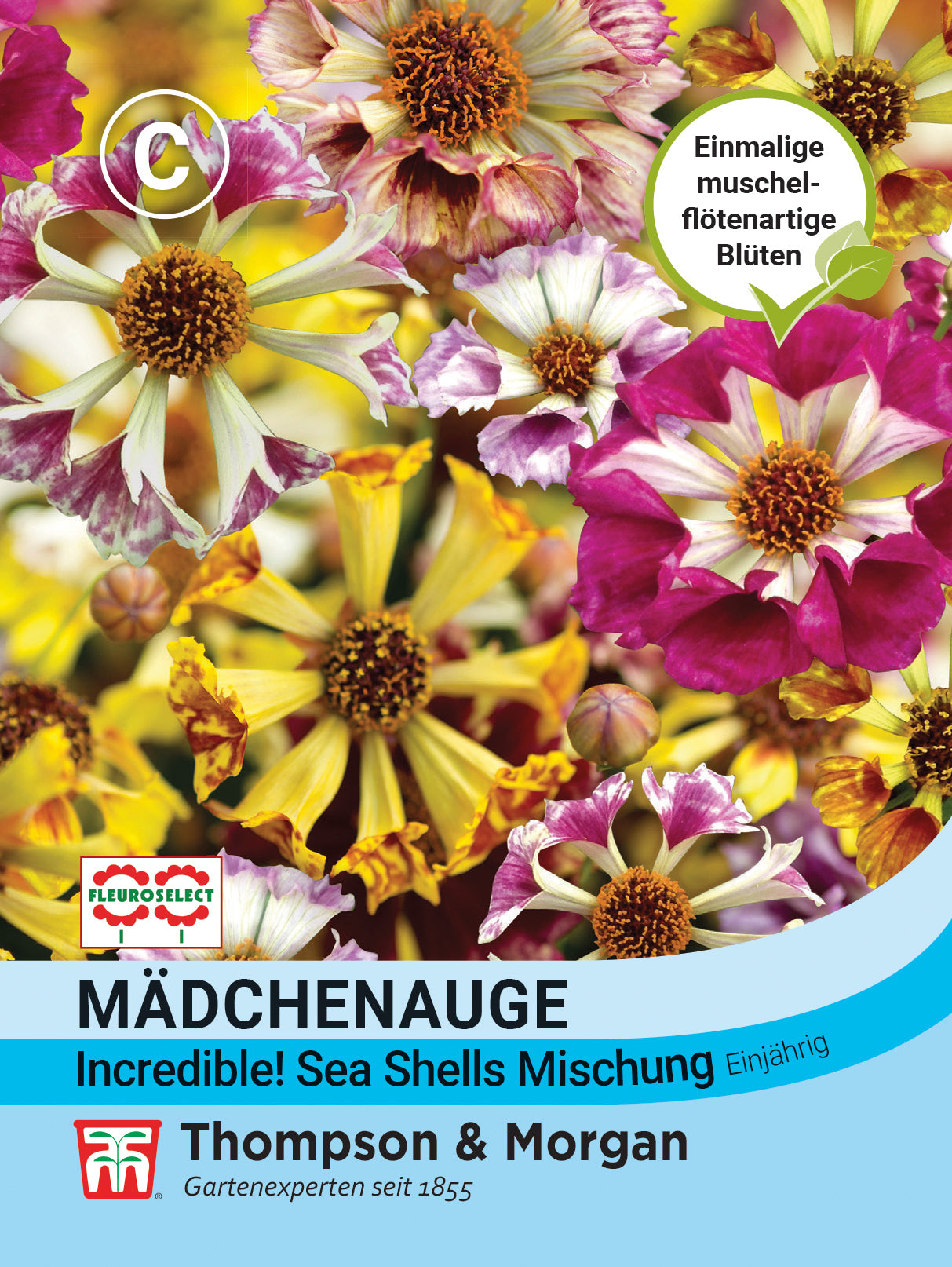  Mädchenauge Incredible! Sea Shells Mischung