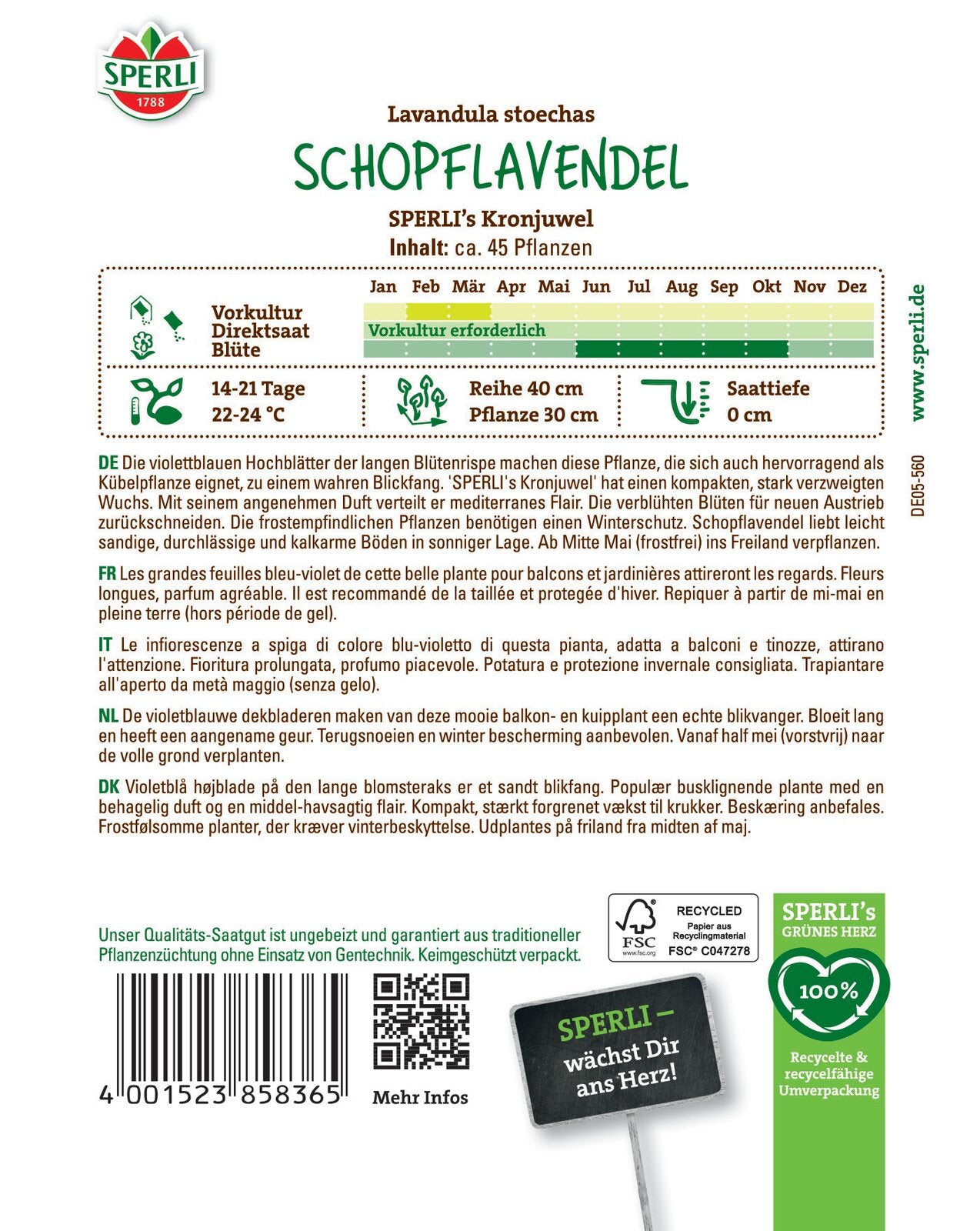  Schopflavendel SPERLI's Kronjuwel